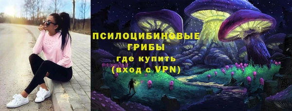 бошки Богданович