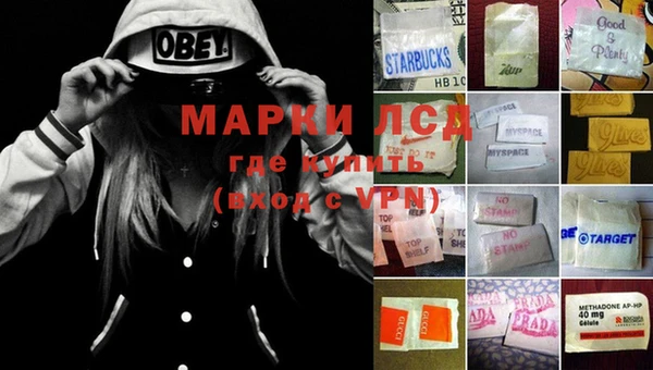 бошки Богданович