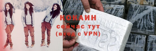 бошки Богданович