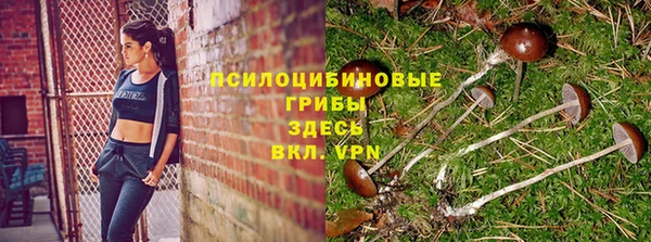 бошки Богданович