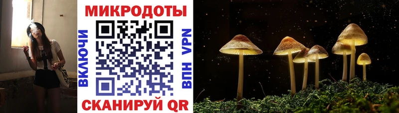 Купить закладки Бодайбо Псилоцибиновые грибы Psilocybe