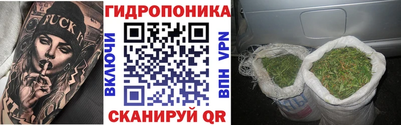 Каннабис AK-47  Купить закладки  Бодайбо 